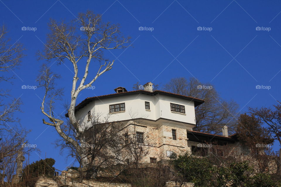 White house blue sky and tree