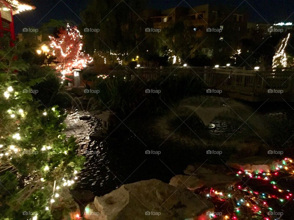 Pagoda Garden at Night, Norfolk VA