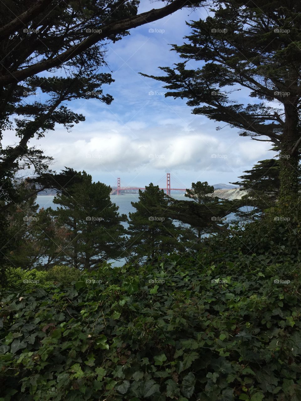 The golden gate bridge'