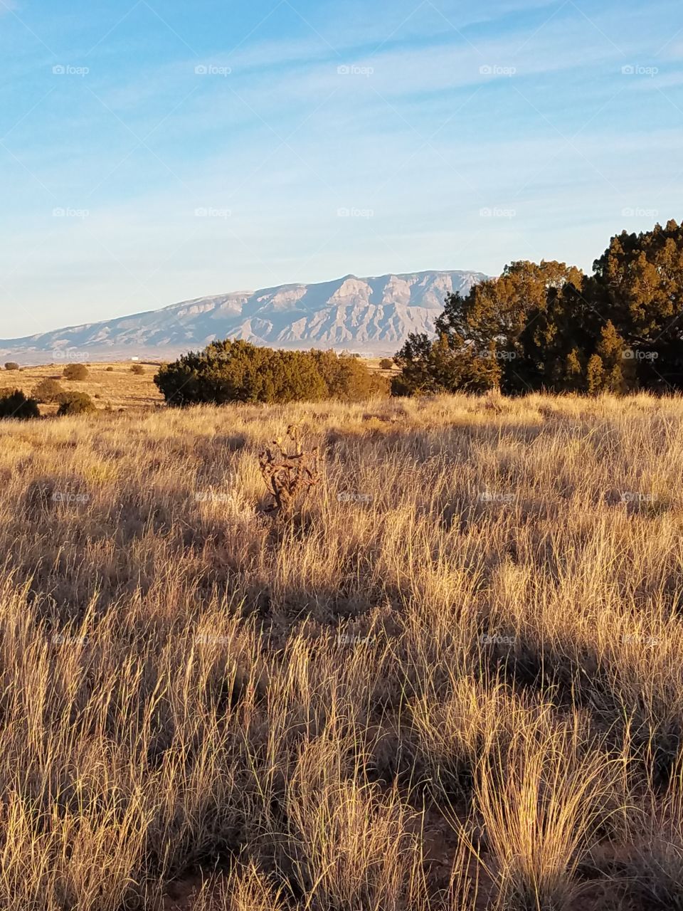 Rio Rancho Estates in New Mexico