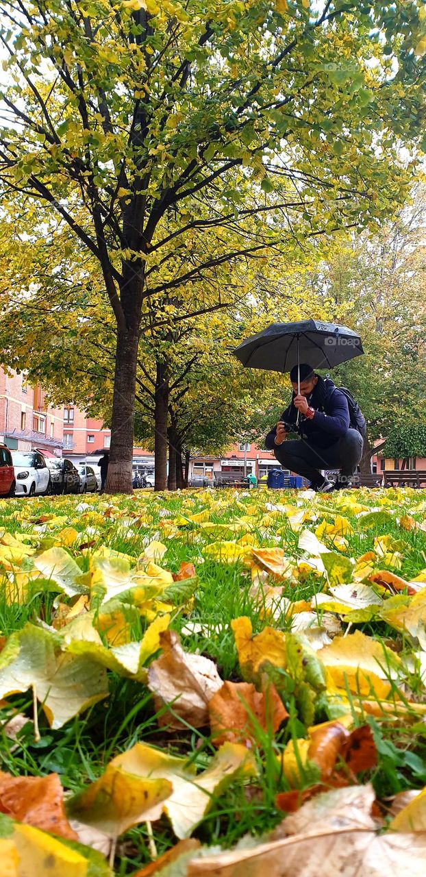 Autumn#leaves#season#colors#nature