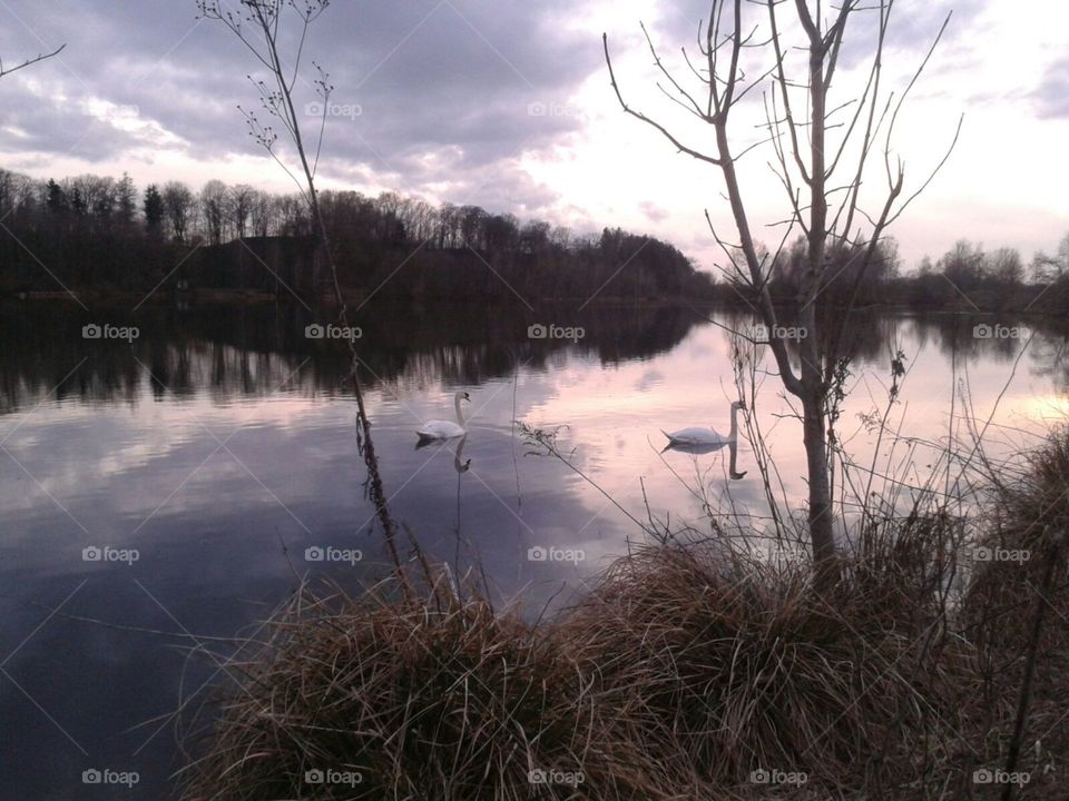 Landscape, Water, Reflection, Lake, River