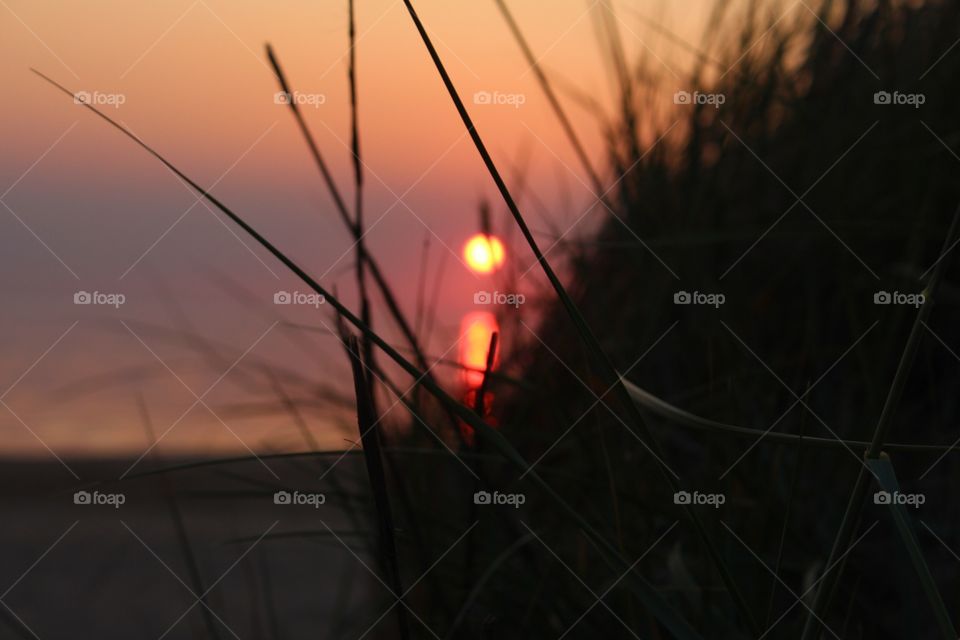 Grassy beach sunset perspective