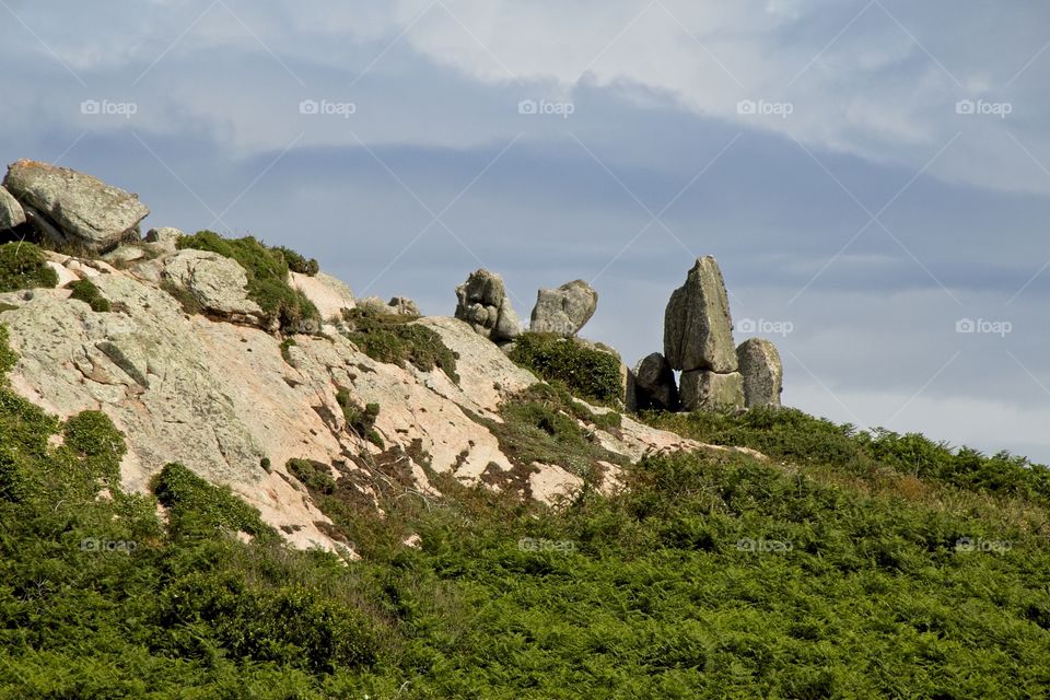 landscape with trees and rocks