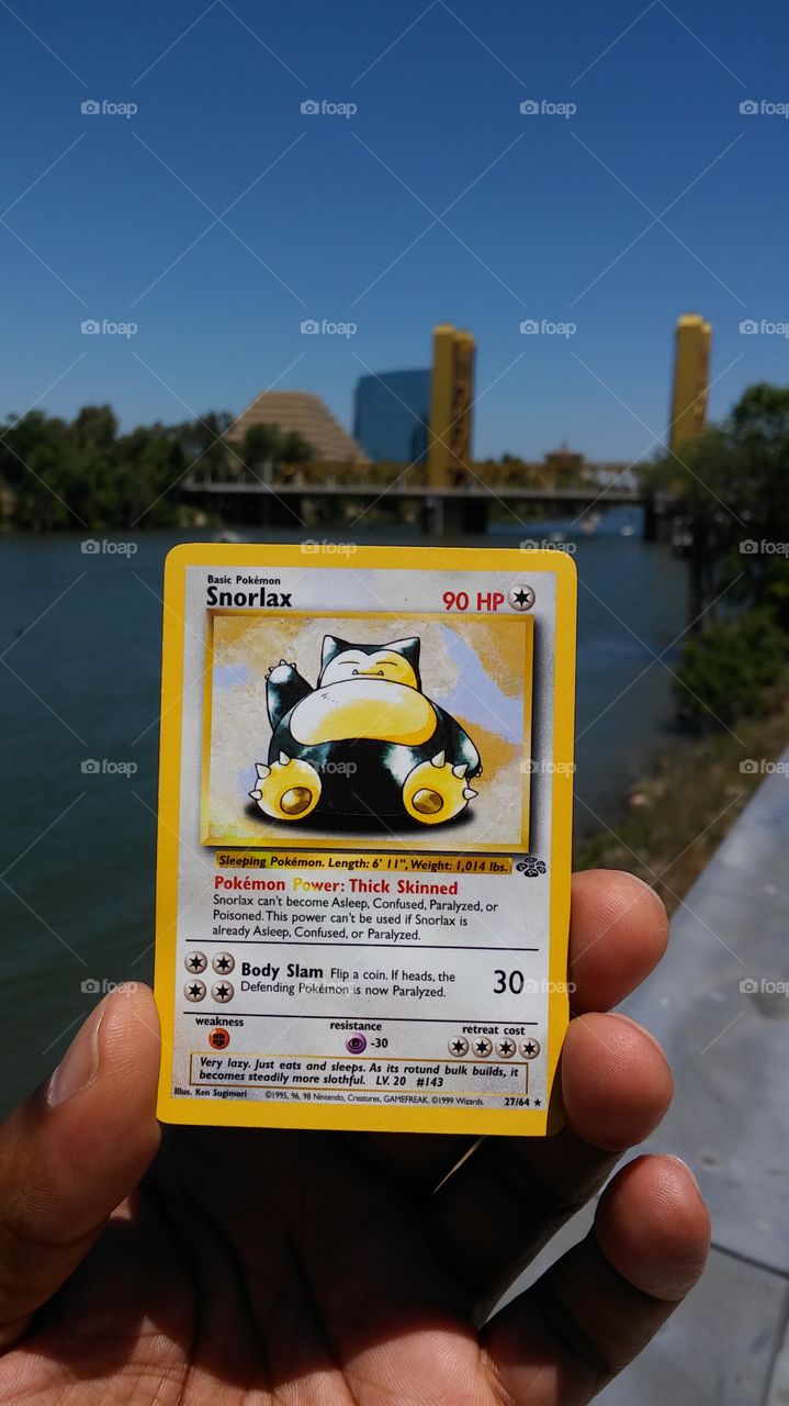 Pokemon card Adventures on the Sacramento River Front