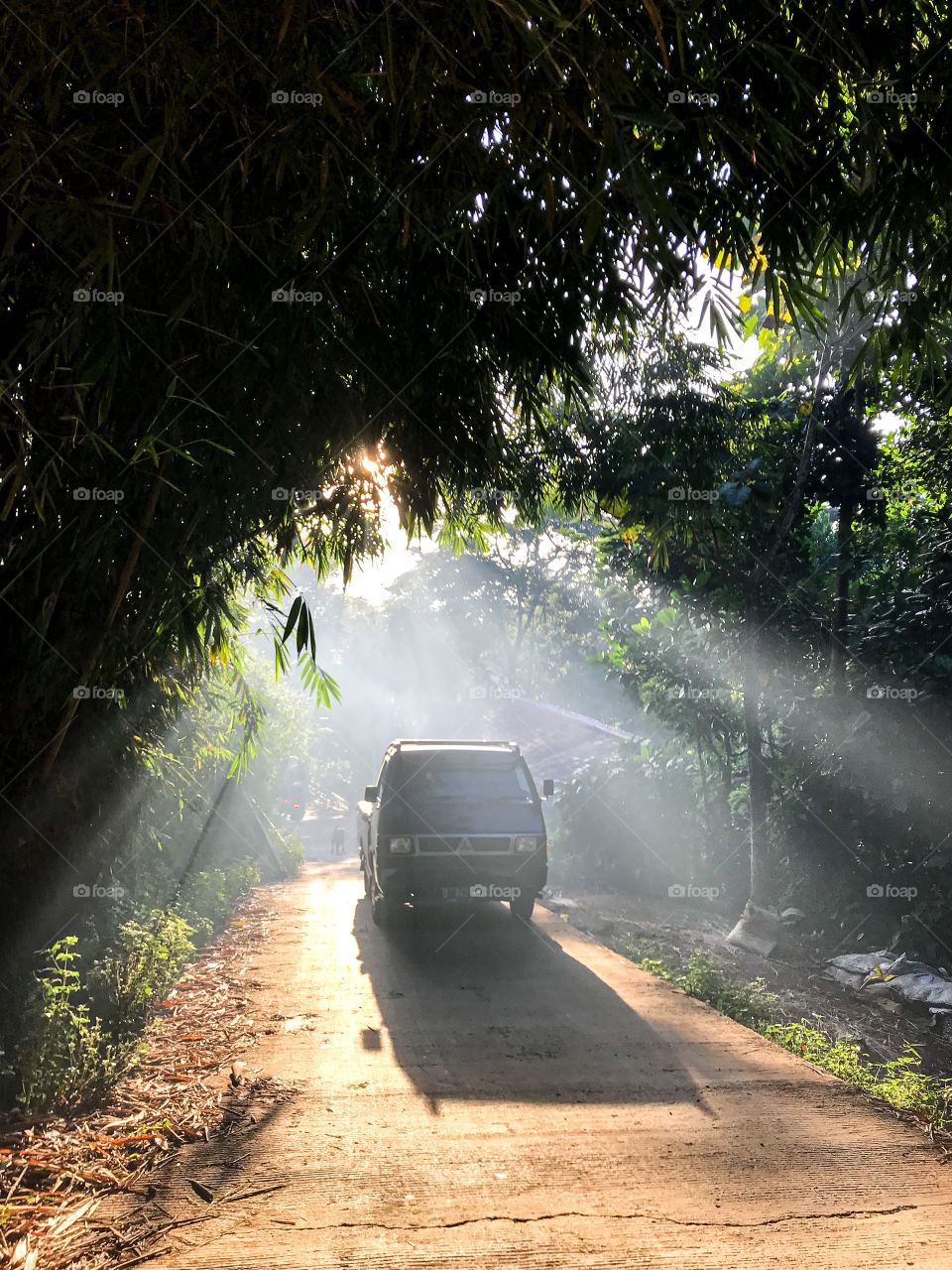 Playing with light, morning sunlight can make us excited.