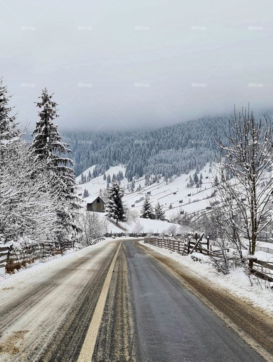 The land of Bukovina