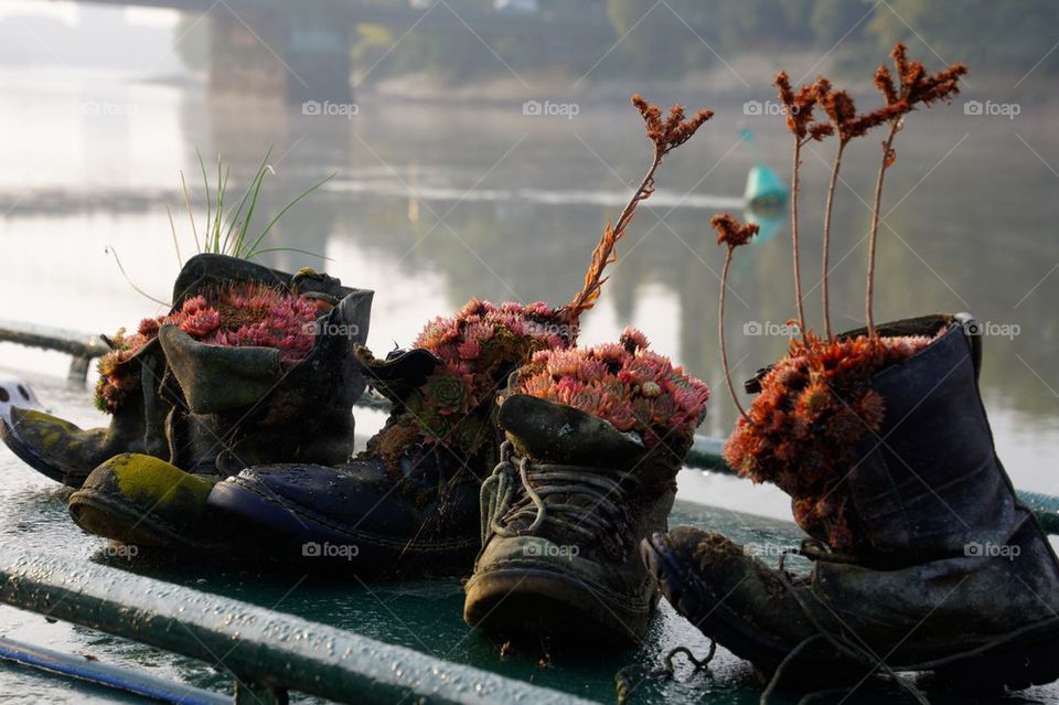 Boots as a garden on a houseboat