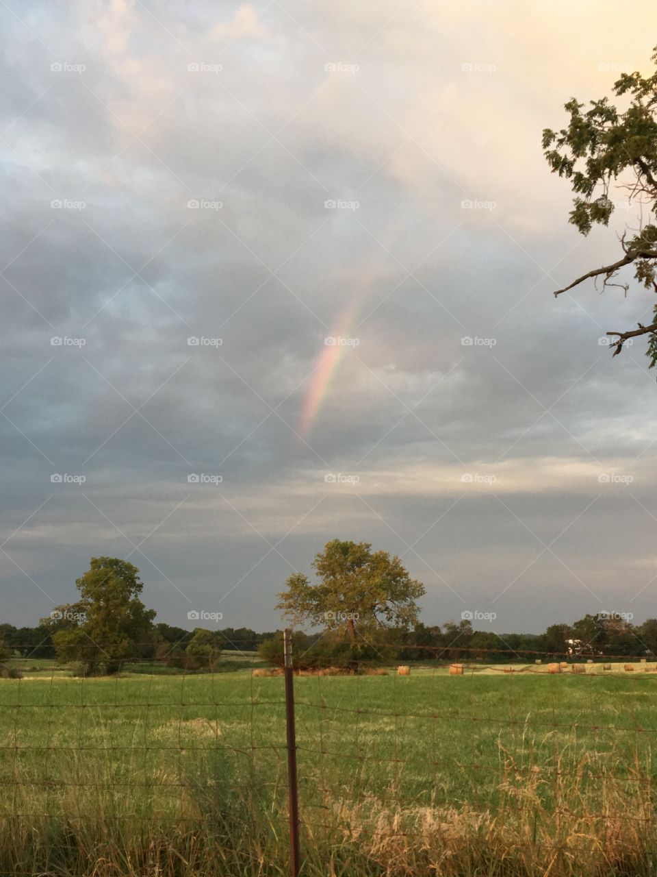 Rainbow Country Landscape 