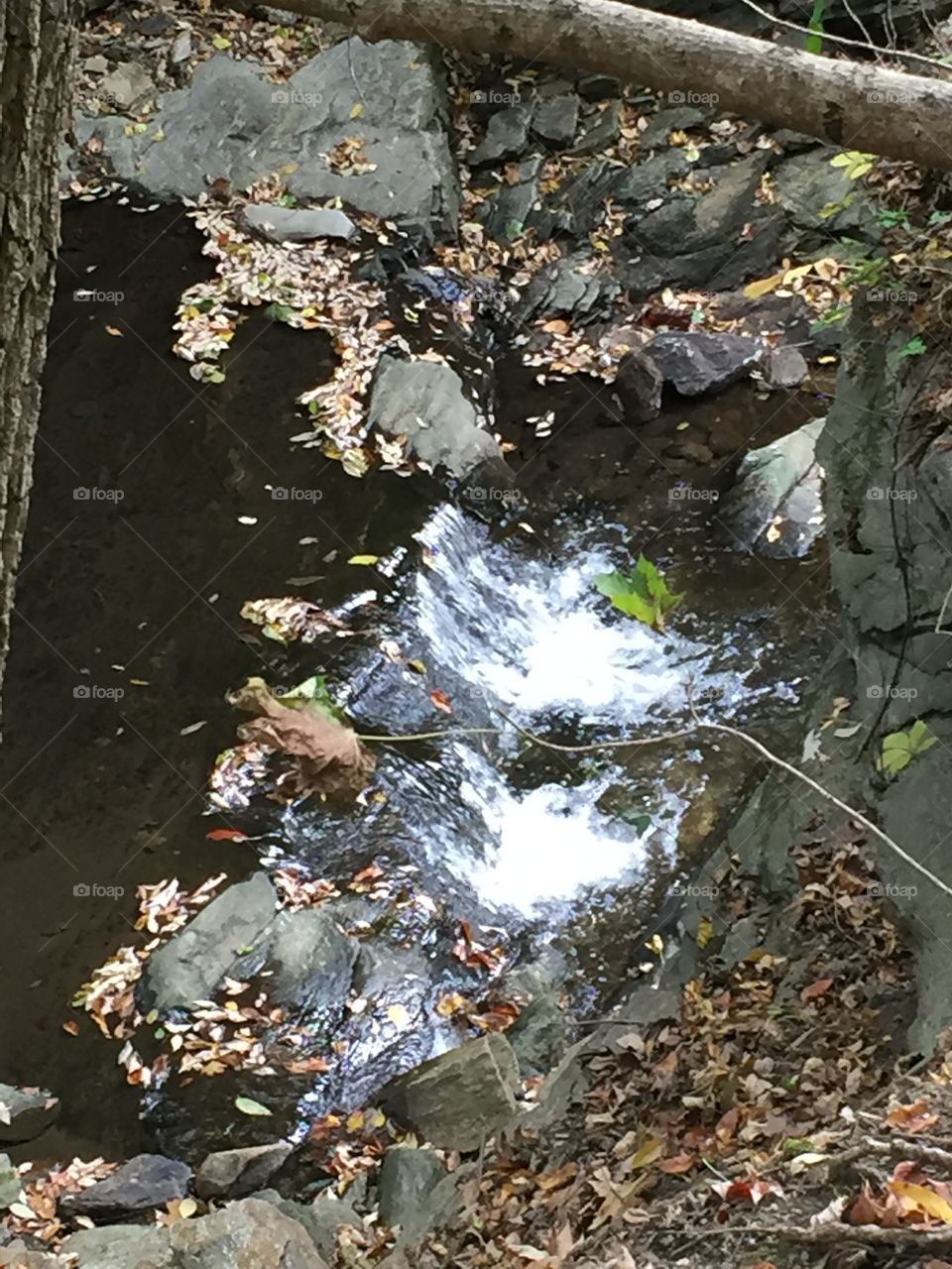 Waterfall Philadelphia 