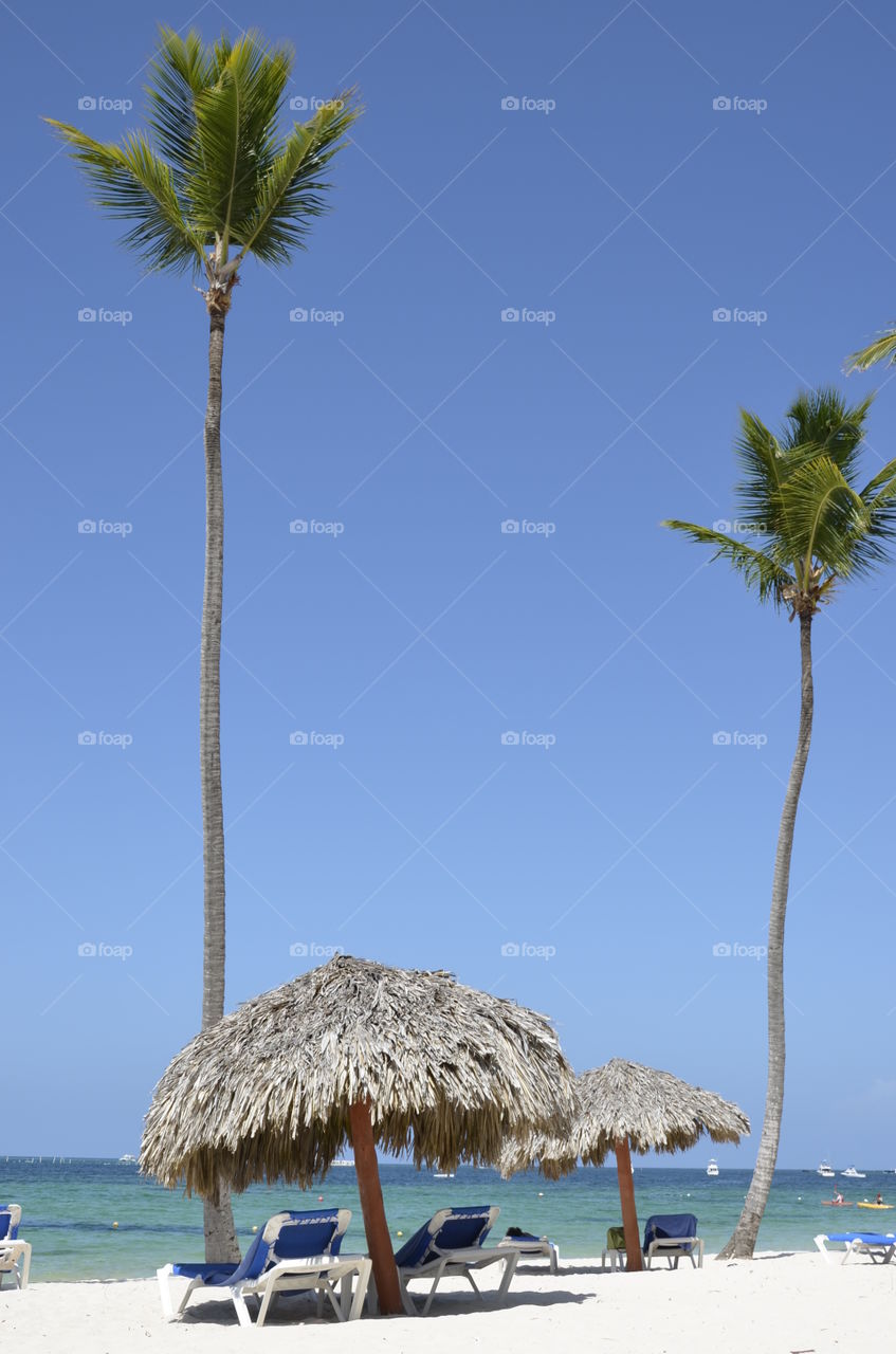 Two palm trees on the beach