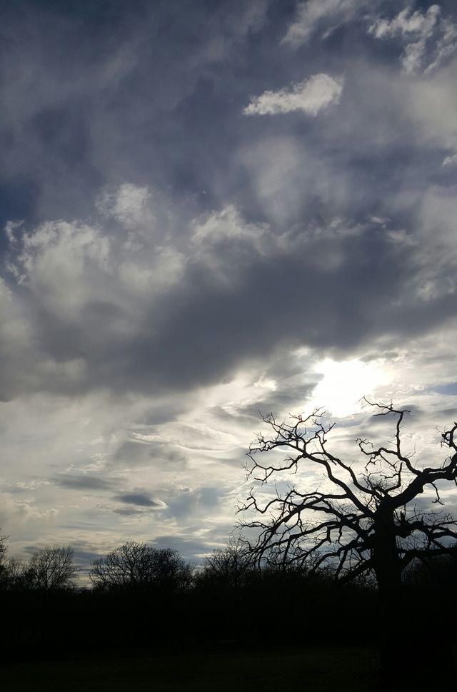 Light slips its way through.