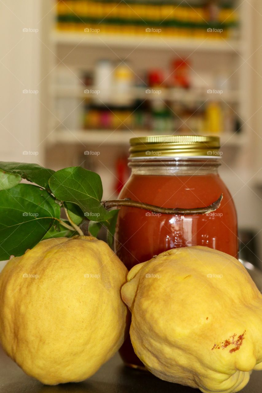 Quince fruit, freshly picked whole ripe yellow organic, canning preserve jar of processed quinces, in kitchen, rustic, delicious power food, healthy and wholesome, vitamins. Flesh is yellow but turns red when cooked. 