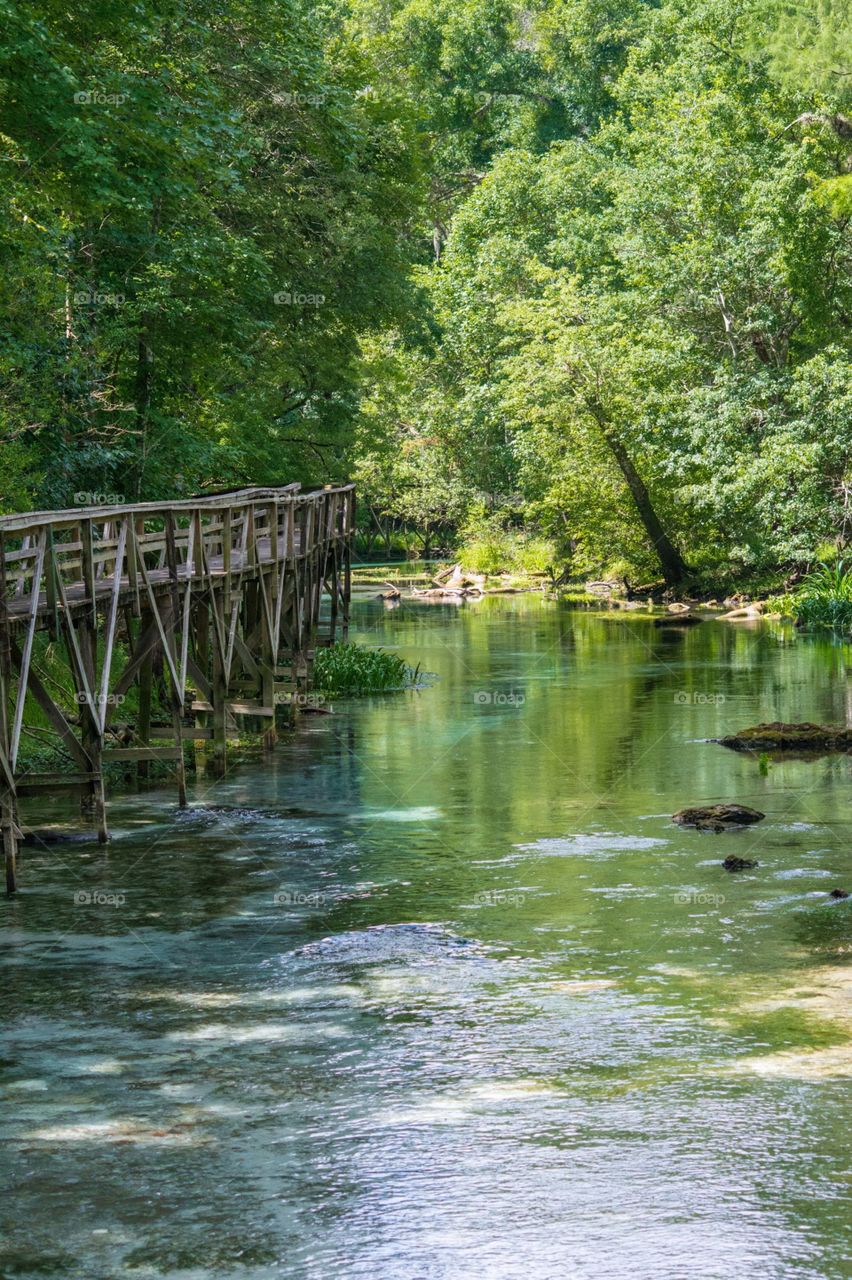 Blue Springs, Fl. Beautiful springs in Florida