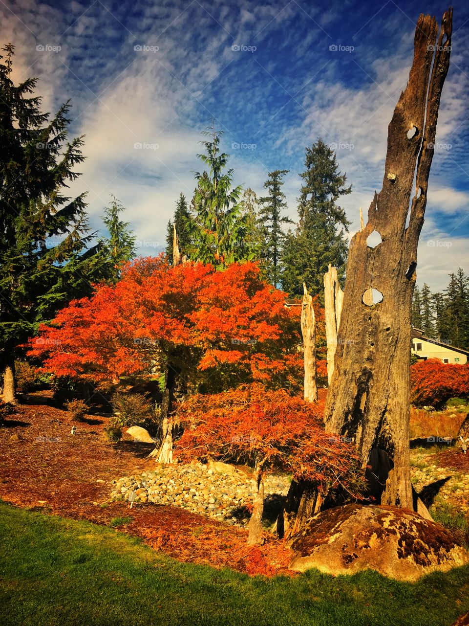 Fall at McCormick Woods Golf Course 