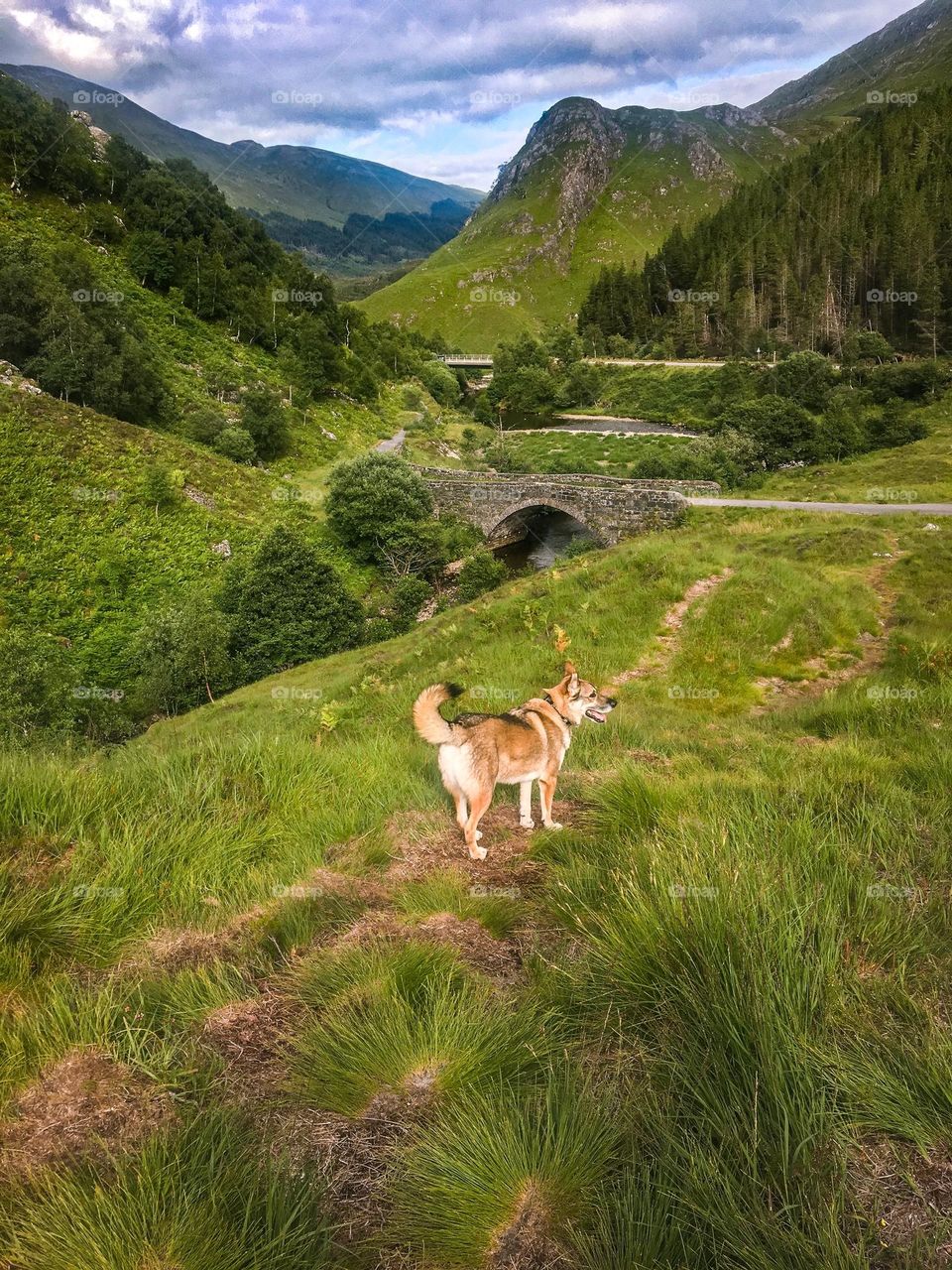 Highlands Green hilly Landscape 