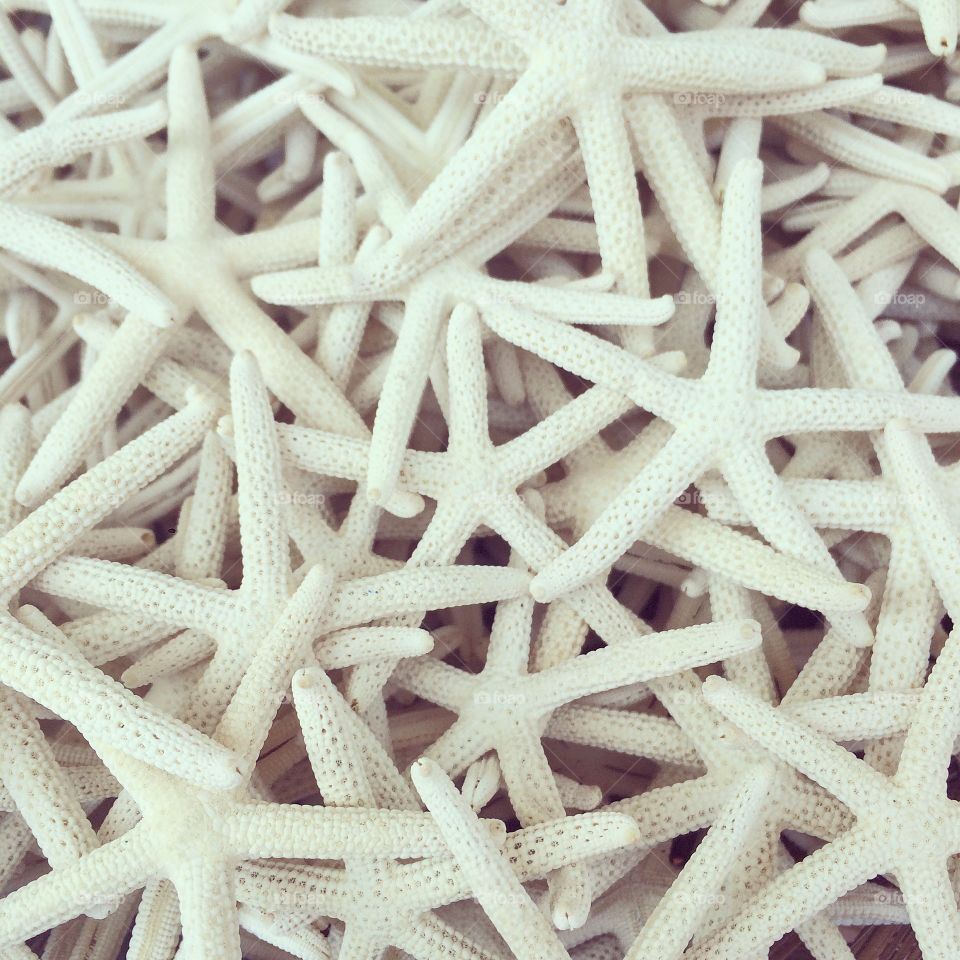 Full frame of white starfish