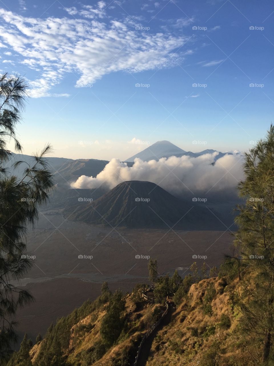 Mt. Bromo 