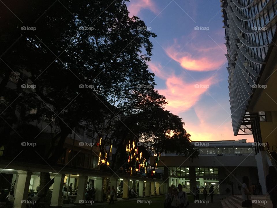 The night time sky at my university... ❤️