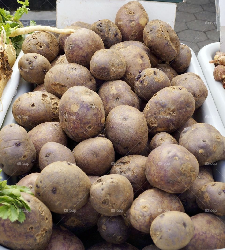 Peter Wilcox potatoes