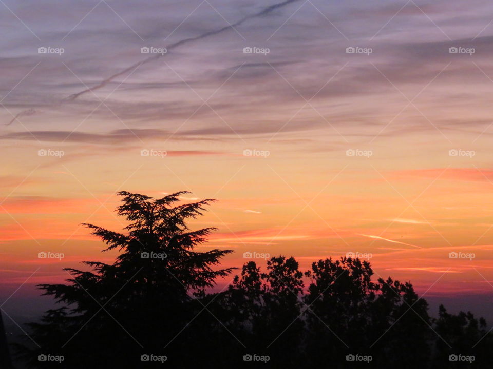 Sunset and it's shadows and silhouettes