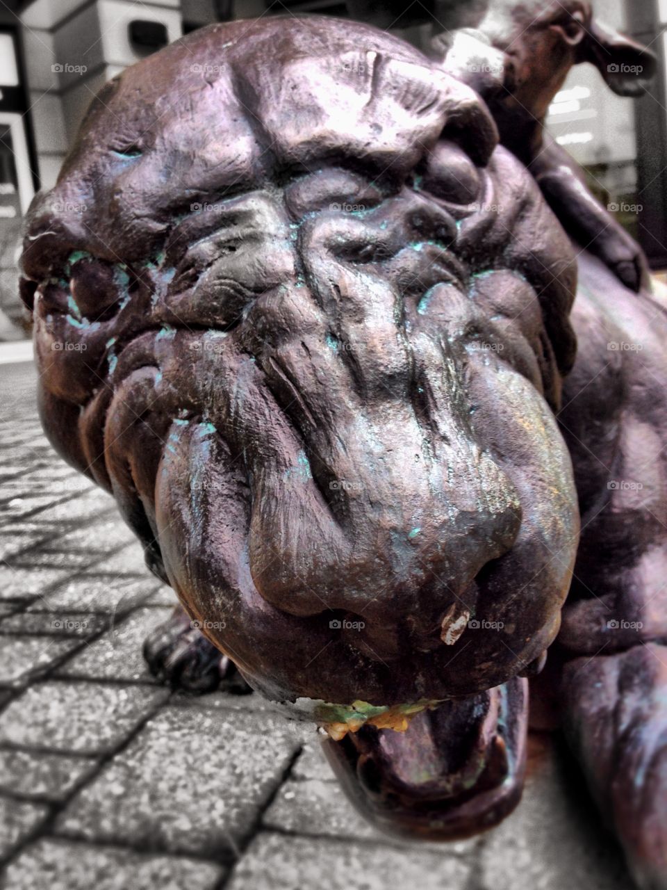 Animal sculptures from new angles