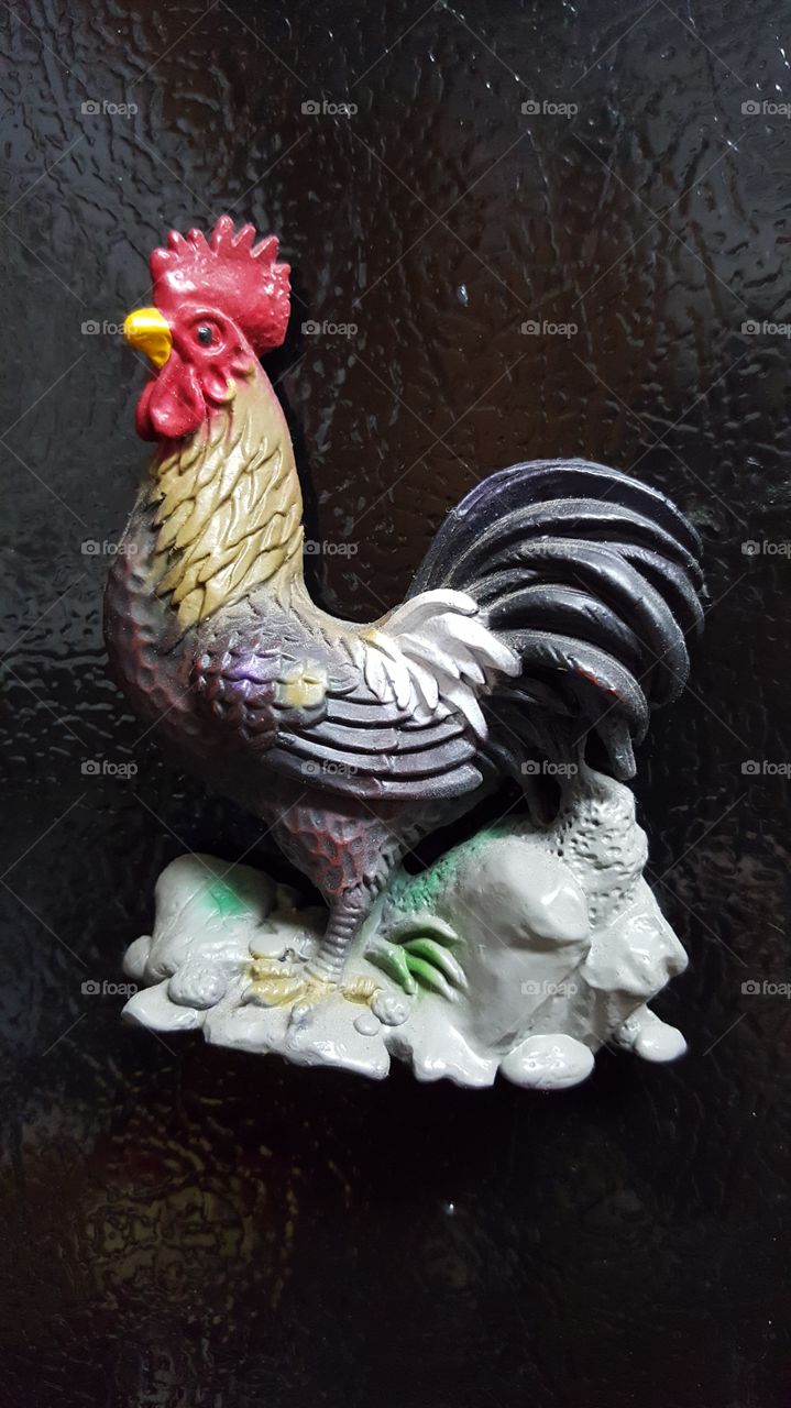 magnetized rooster