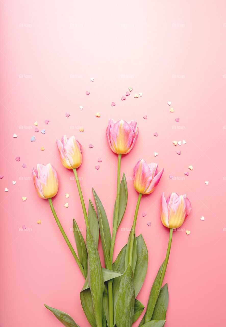 pink tulips