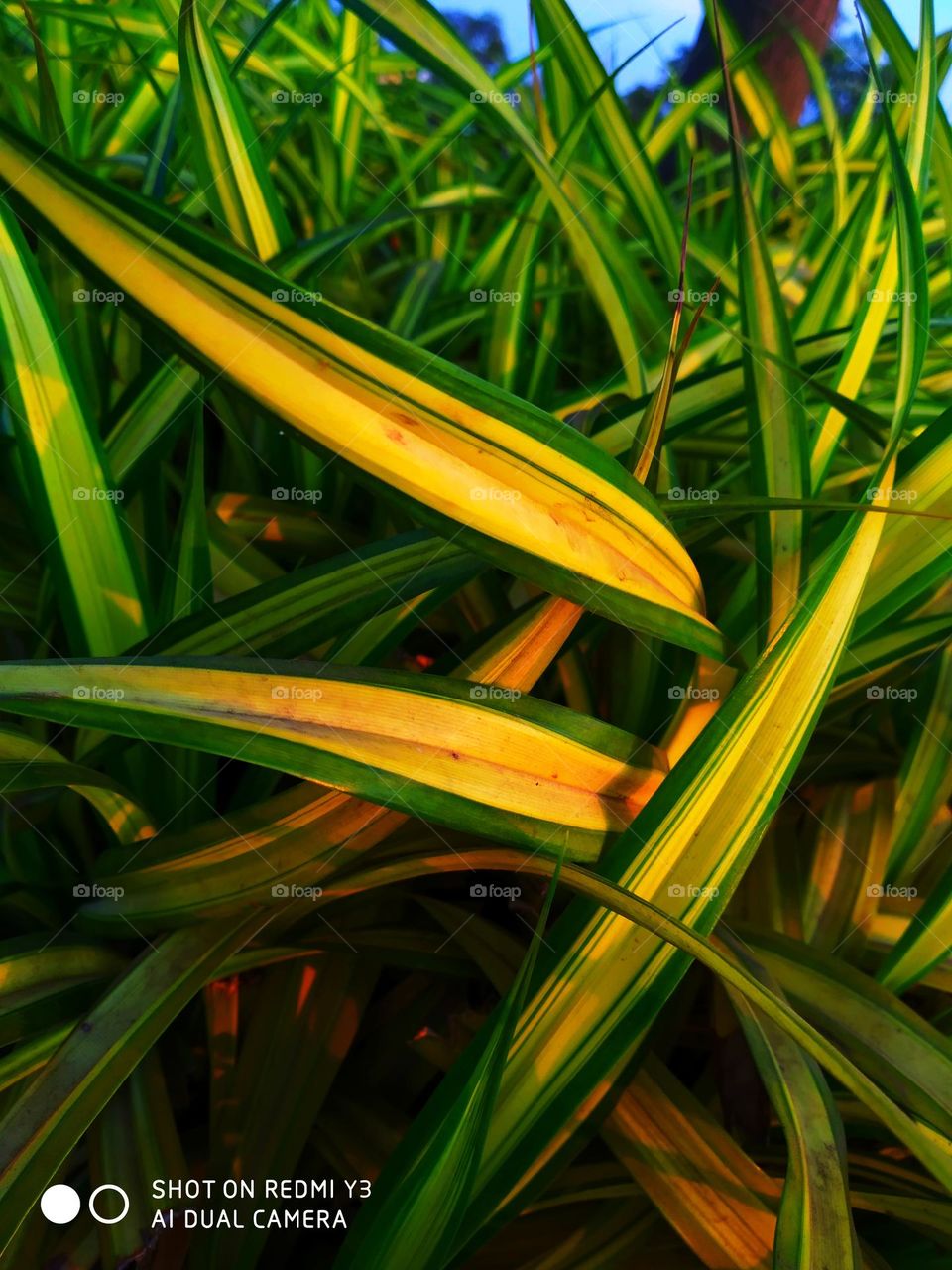 the best photos of beautiful nature