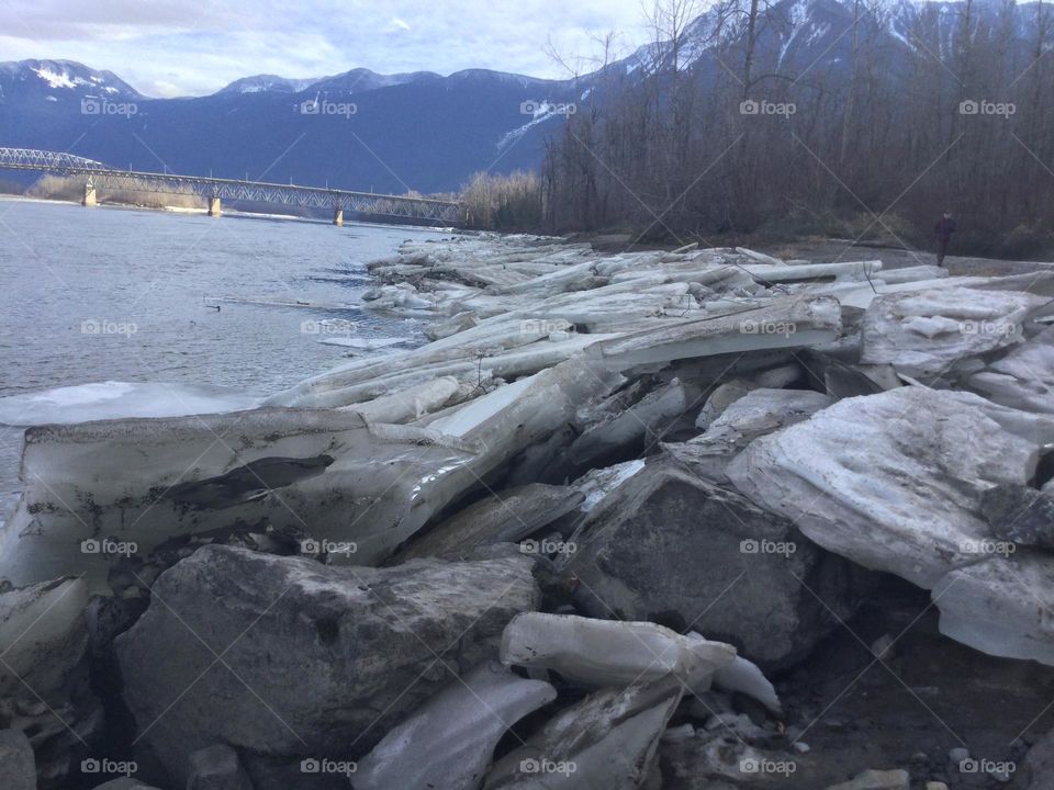 Blocks of Ice Piled along the Vedder River 