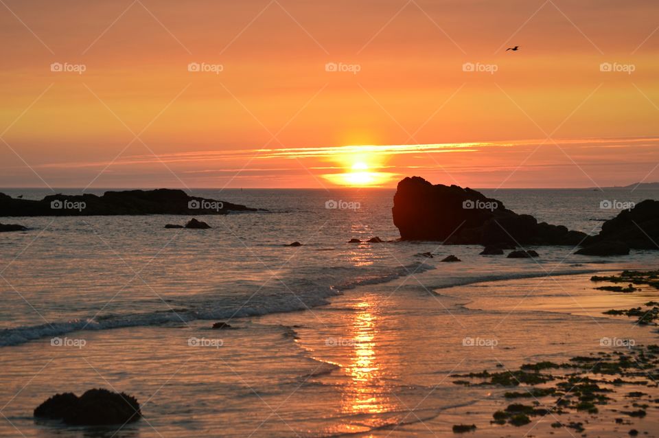 Low tide