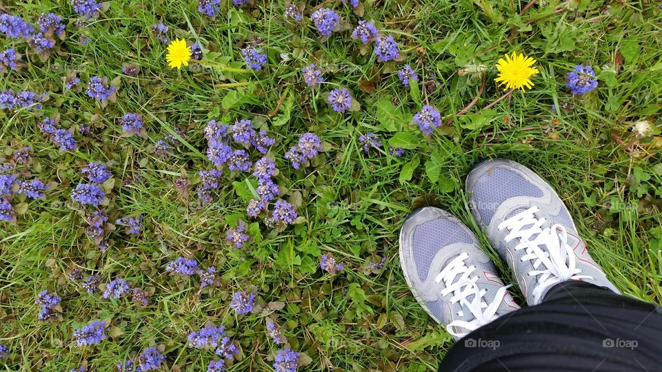 Toes in the Flowers