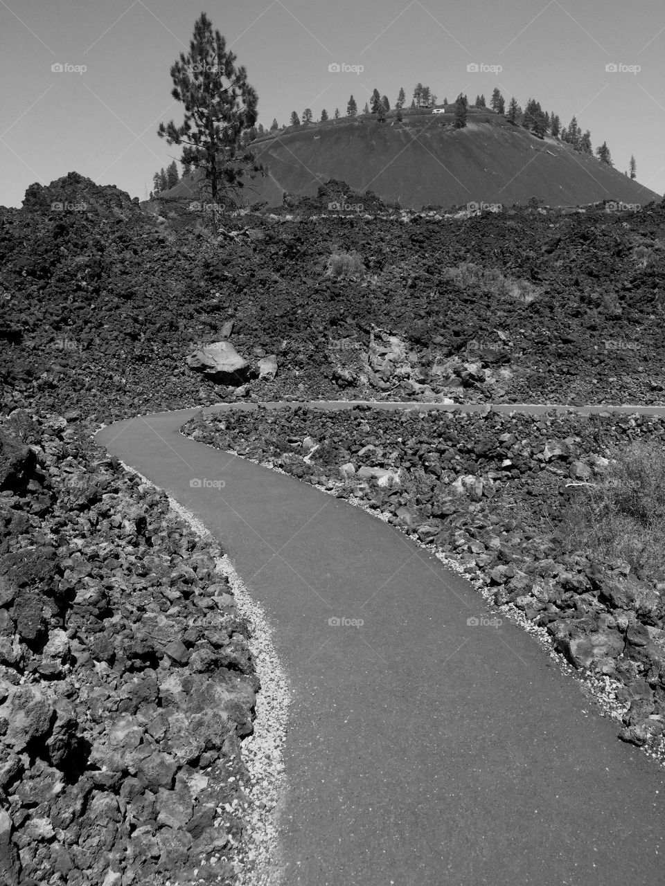 Path to the cinder cone