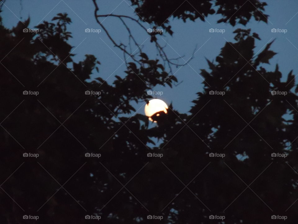 funny moon 🌚. This is another picture of the moon 🌚. 👣 🚶 🏃 🔥 💨