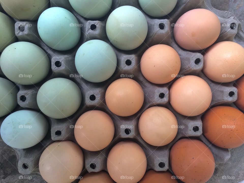 Eggs. Colors