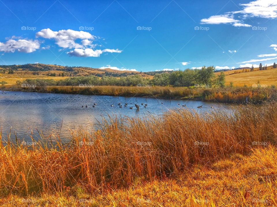 Beautiful sunny day! 