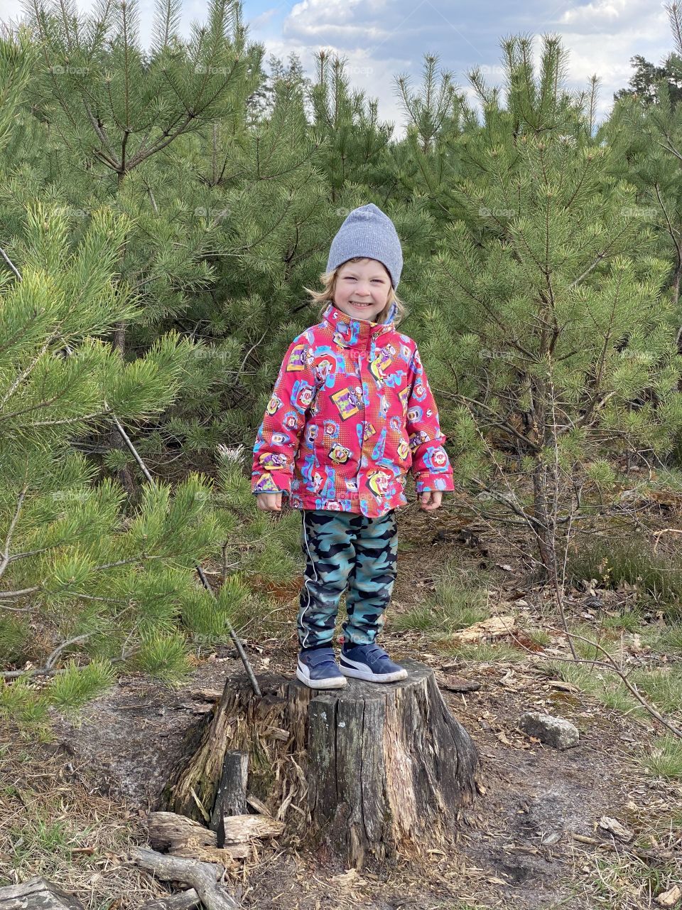 Little boy standing on a tree 