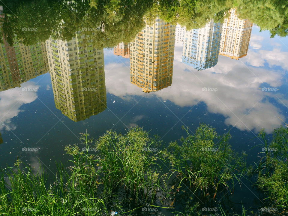 mirror image of houses in the lake of the park of the city of Kiev