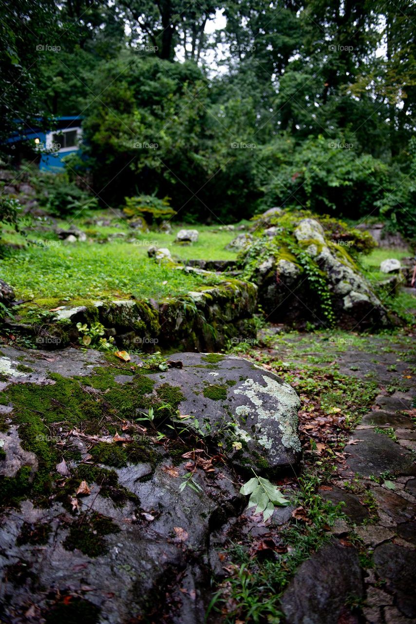 Enchanted mossy forest with blue cottage in the distance 