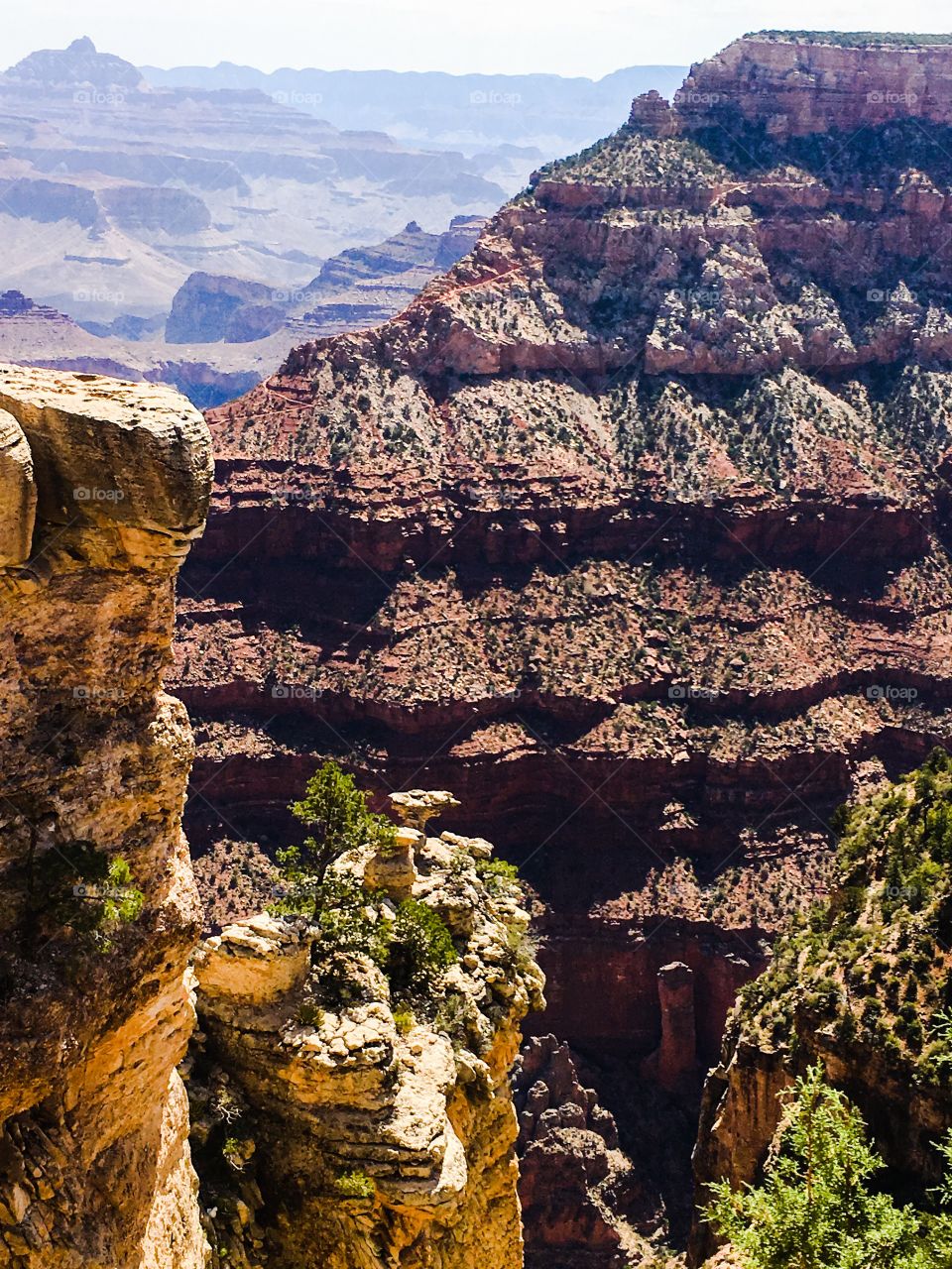 Grand Canyon