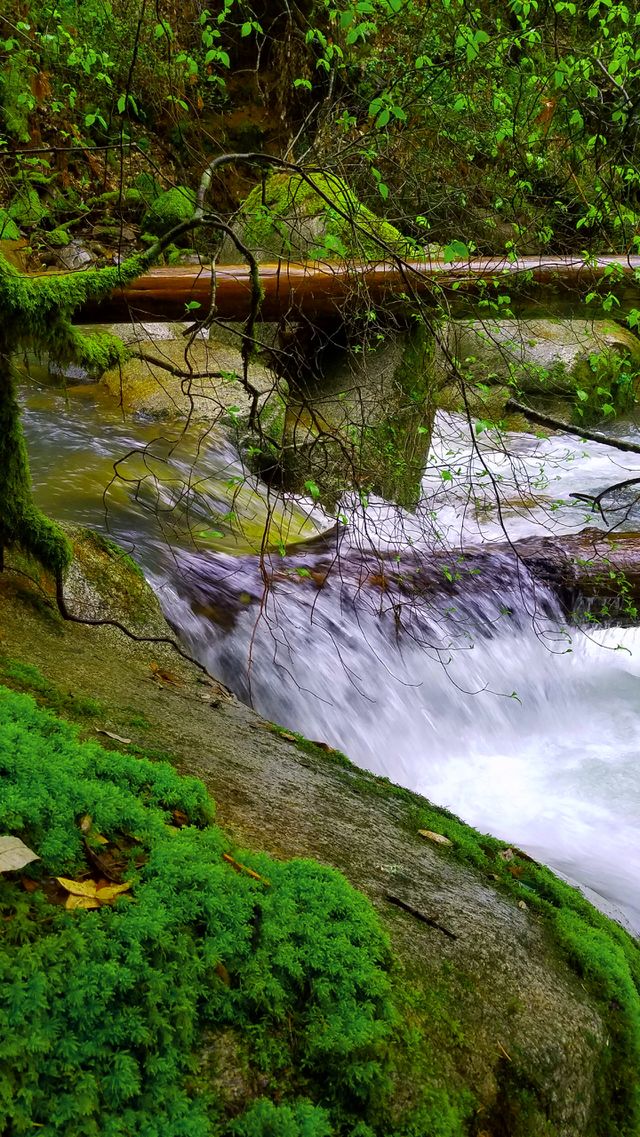 Feather Falls