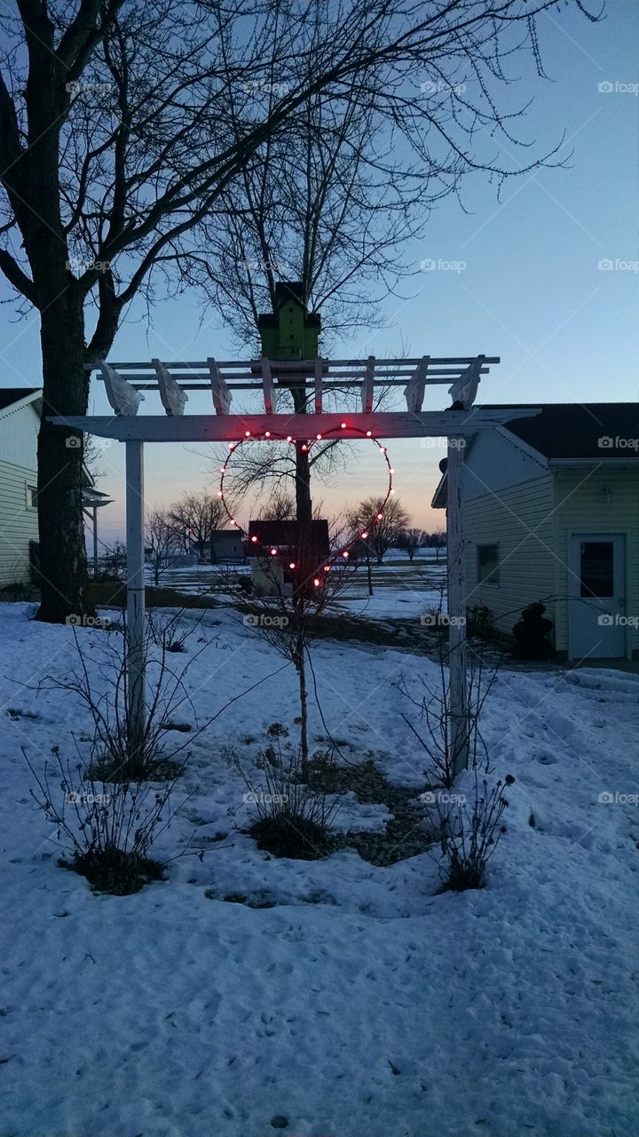 Winter, Snow, No Person, Cold, Tree