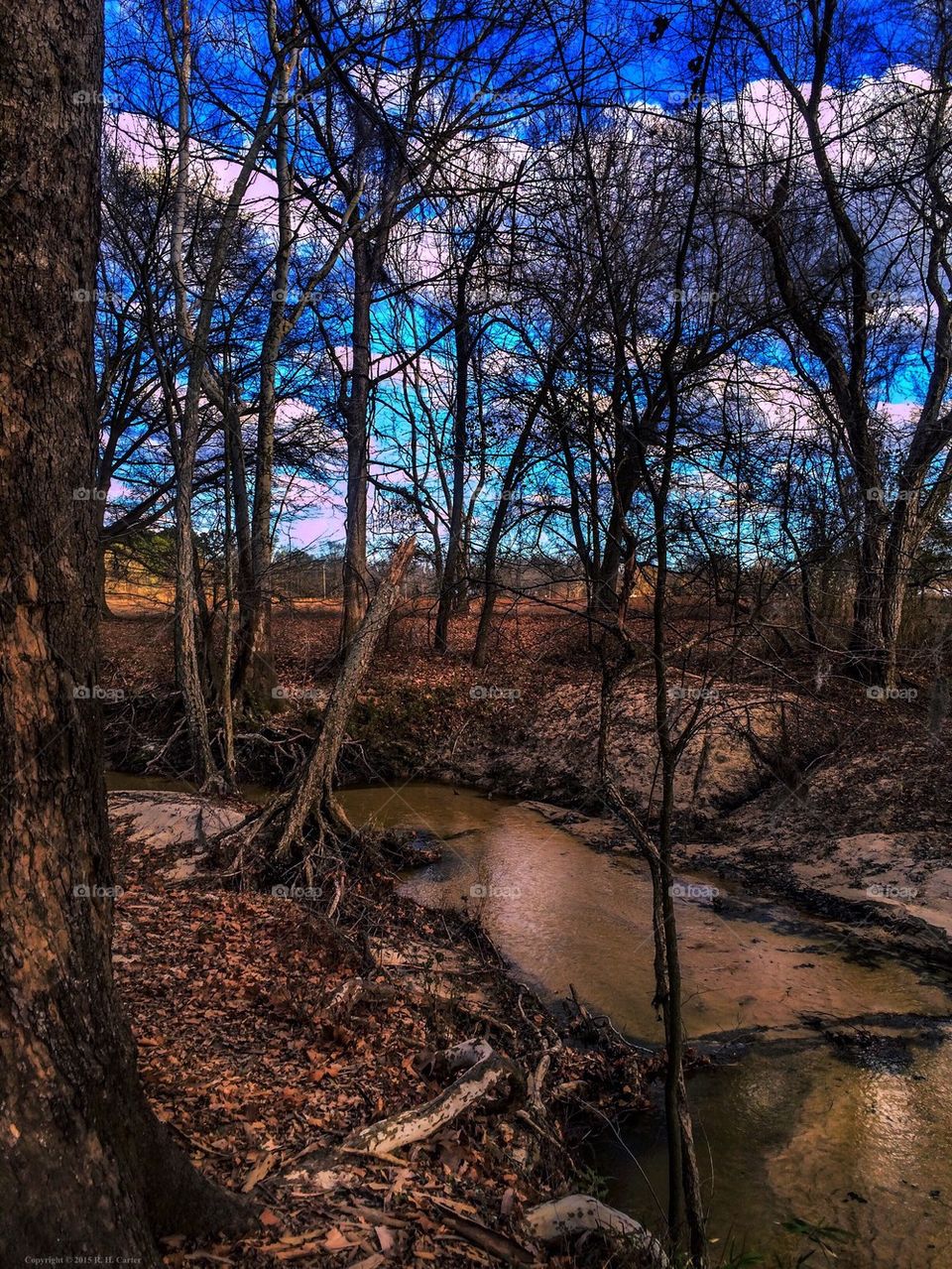 Creek Bend