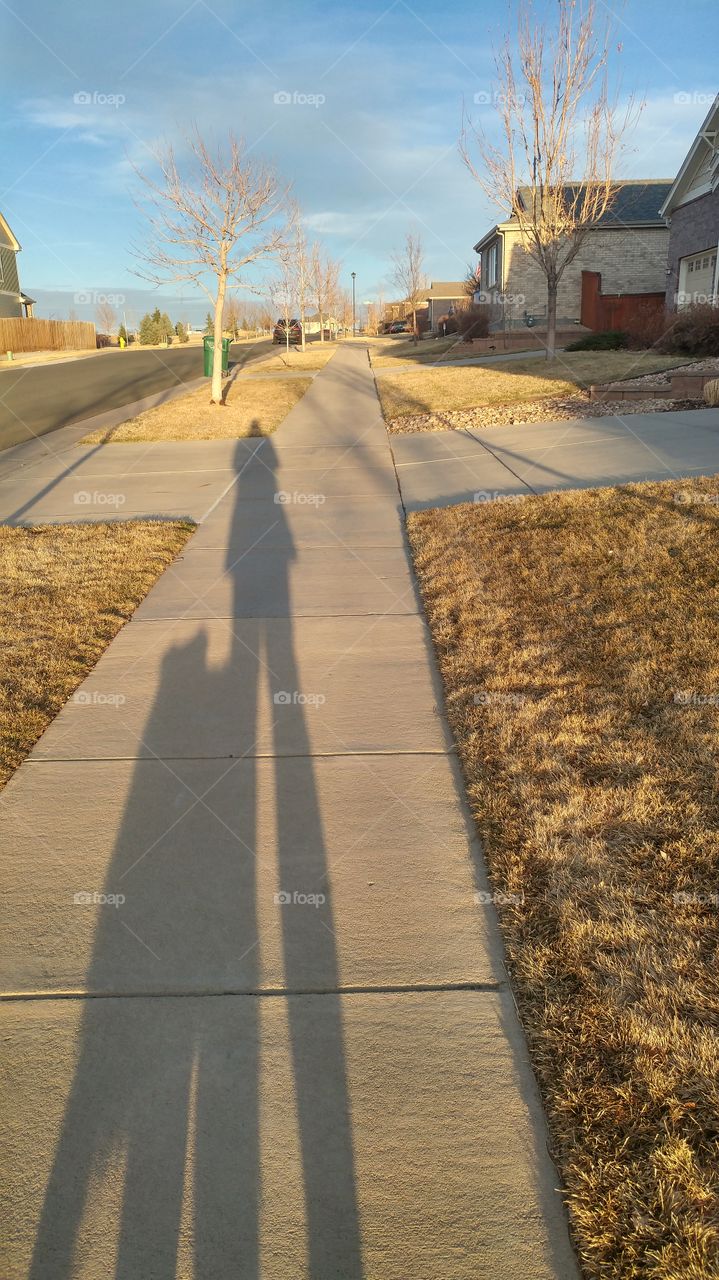 Chili and my shadow during our walk