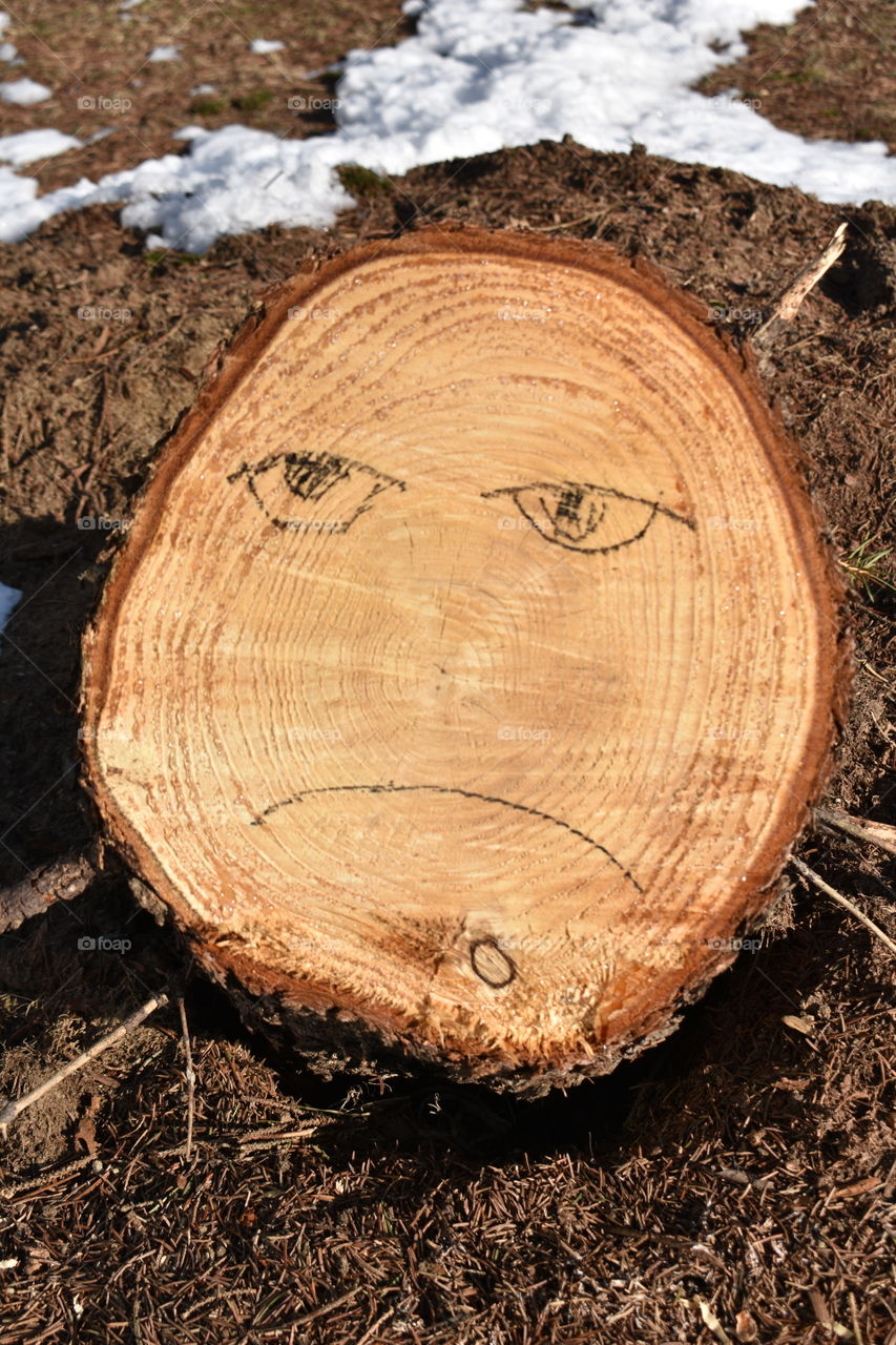 Mr grumpy stump
