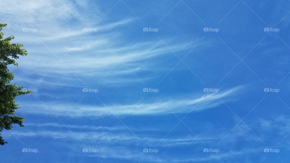 Whispy Clouds