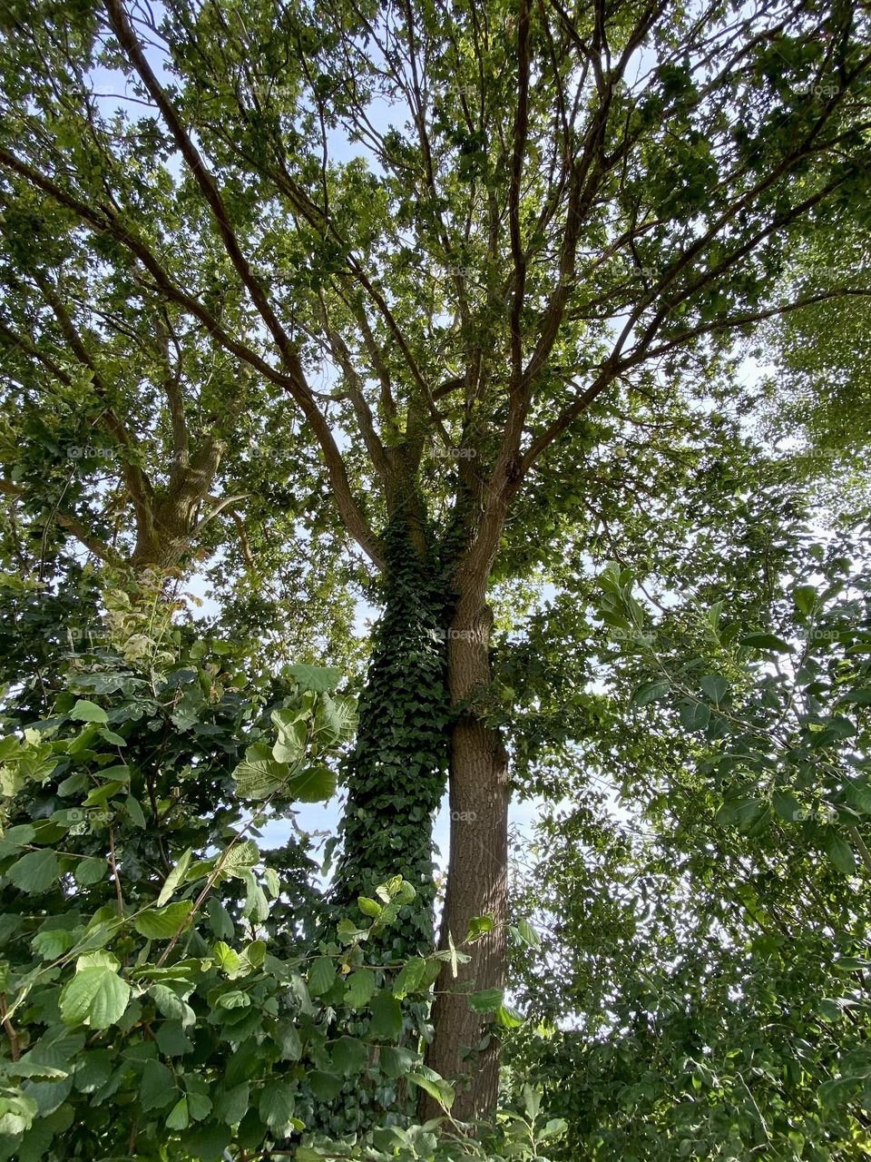 Two will soon become one 