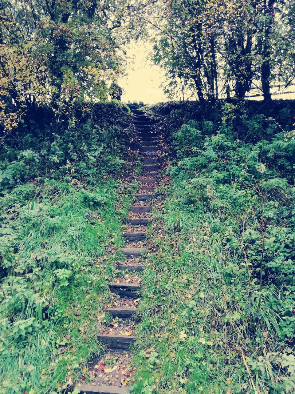 Stairway, Tissington trail