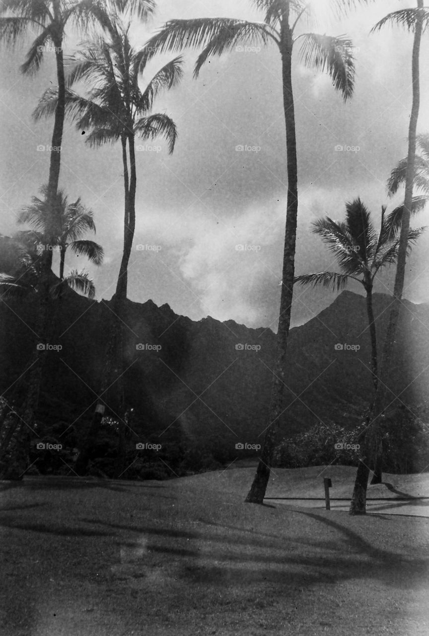Hawaii black and white