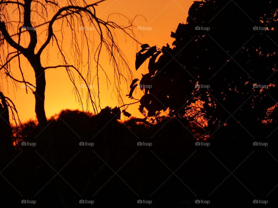 Beautiful sunset view in Indiana 